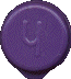 Cool Dude Purple Lid